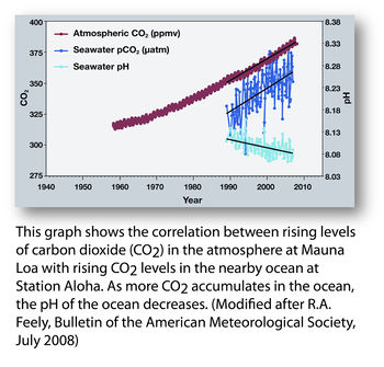 http://pmel.noaa.gov/co2/file/Hawaii+Carbon+Dioxide+Time-Series