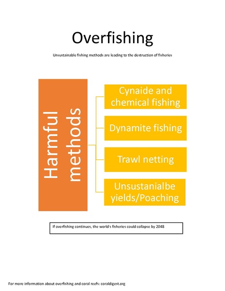 File:Overfishing.pdf