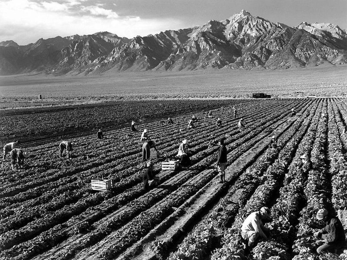 Ansel_Adams_-_Farm_workers_and_Mt