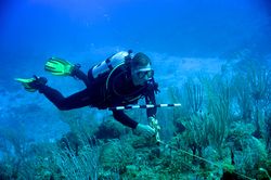 Rover Dive on\nReef