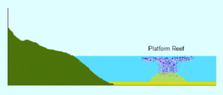 Platform_reef