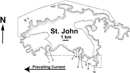 St