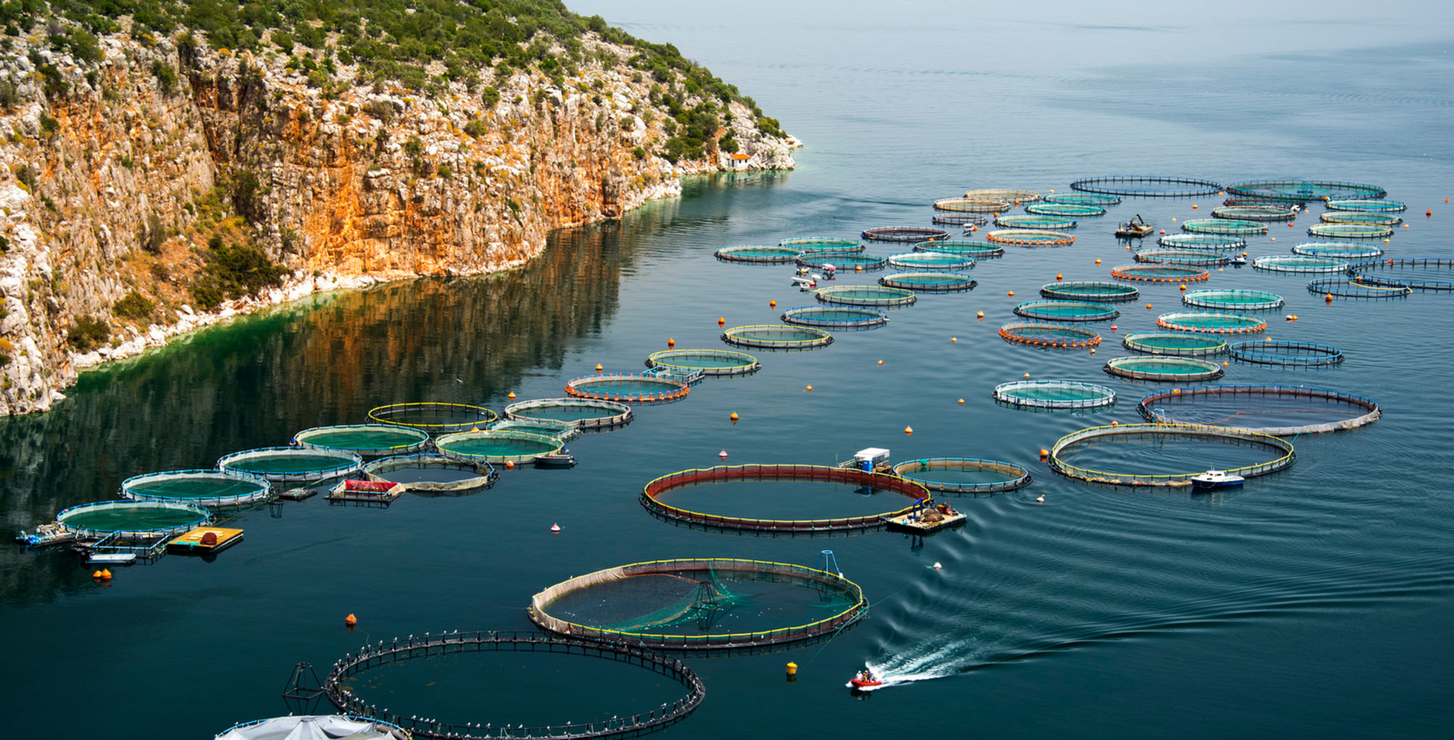(/static/images/aquaculture_oyster_hatchery_container.jpg)