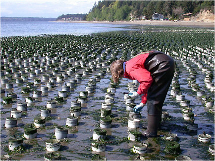 (/static/images/aquaculture_ras_diagram.jpg)
