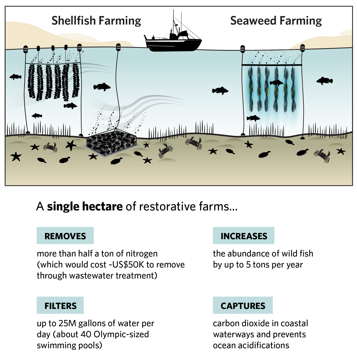 (/static/images/aquaculture_usvi_mariculture_policy.png)