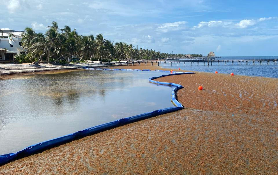 Sargassum boom area 1