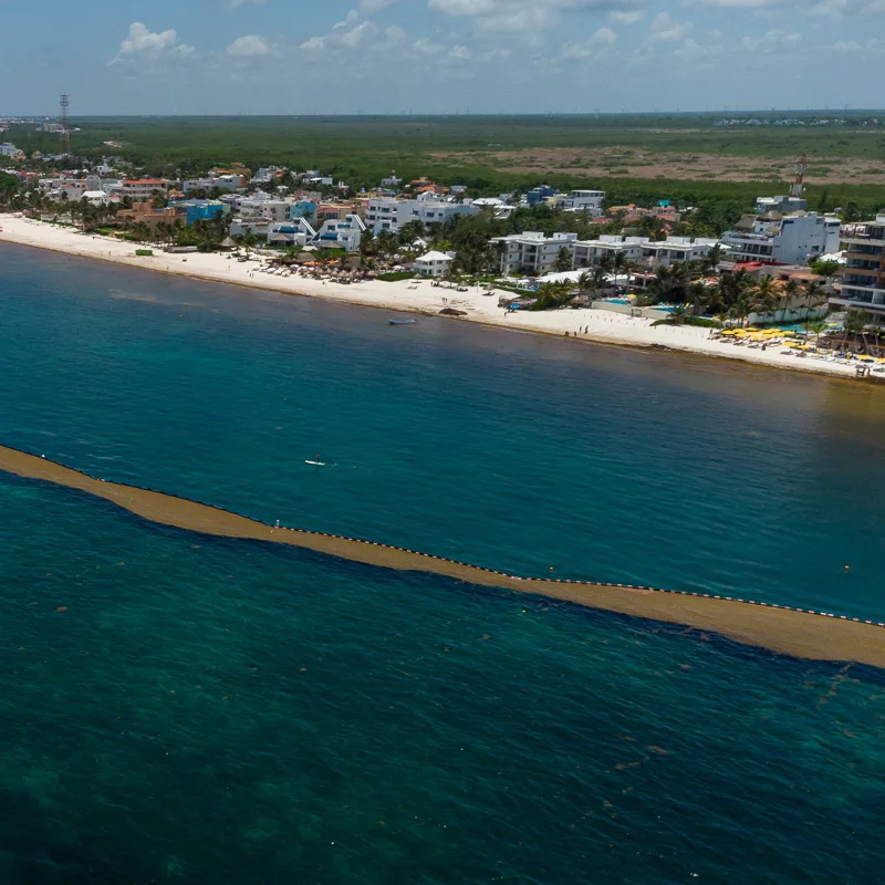 Sargassum boom