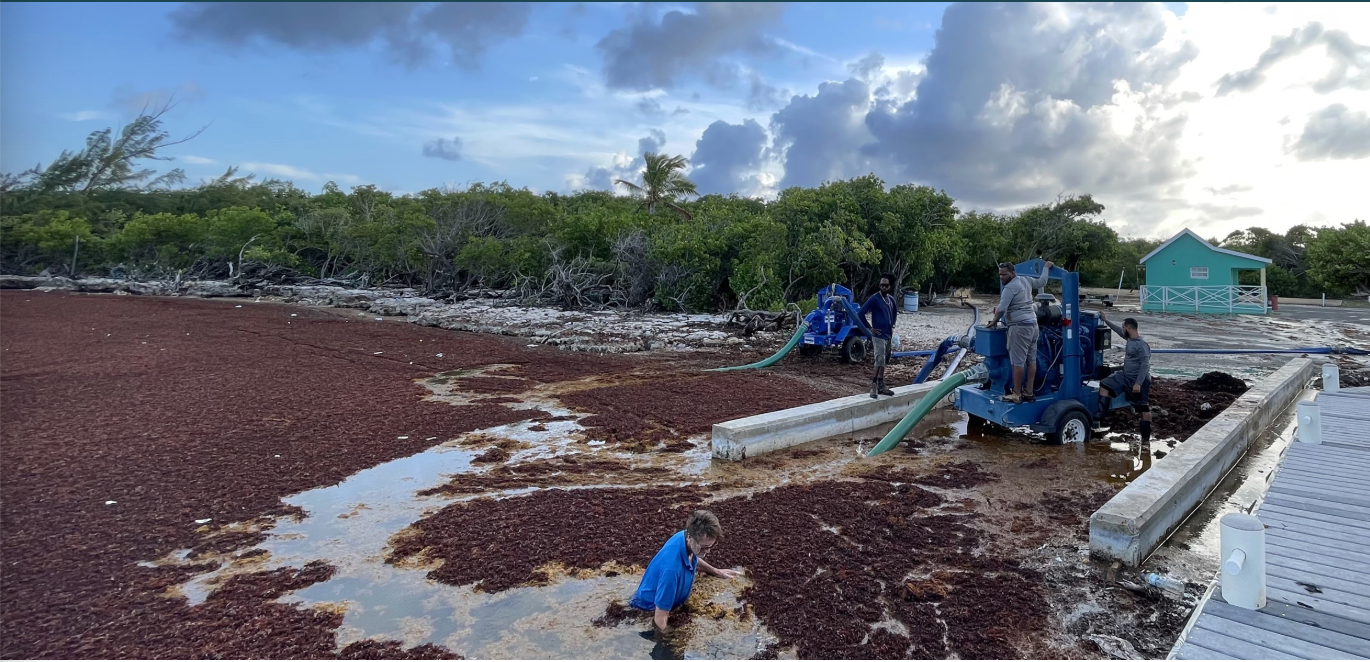 Sargassum boom