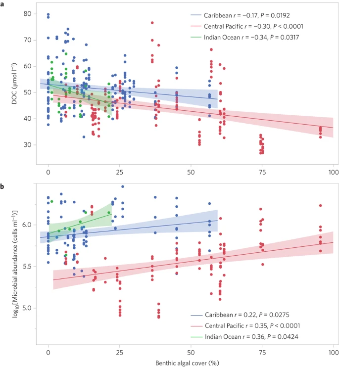 Correlation of percentage of algal cover and DOC water column concentrations