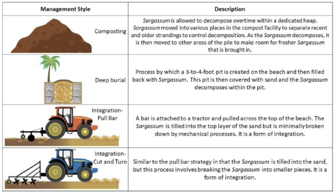 Management Styles