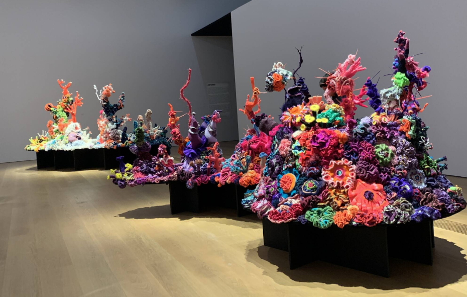 Baden Baden Satellite Reef
