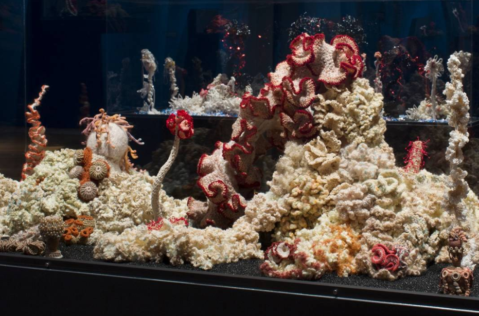 Bleached Reef